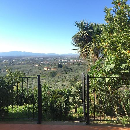 למפורקיו Agriturismo Podere Rondinaio מראה חיצוני תמונה