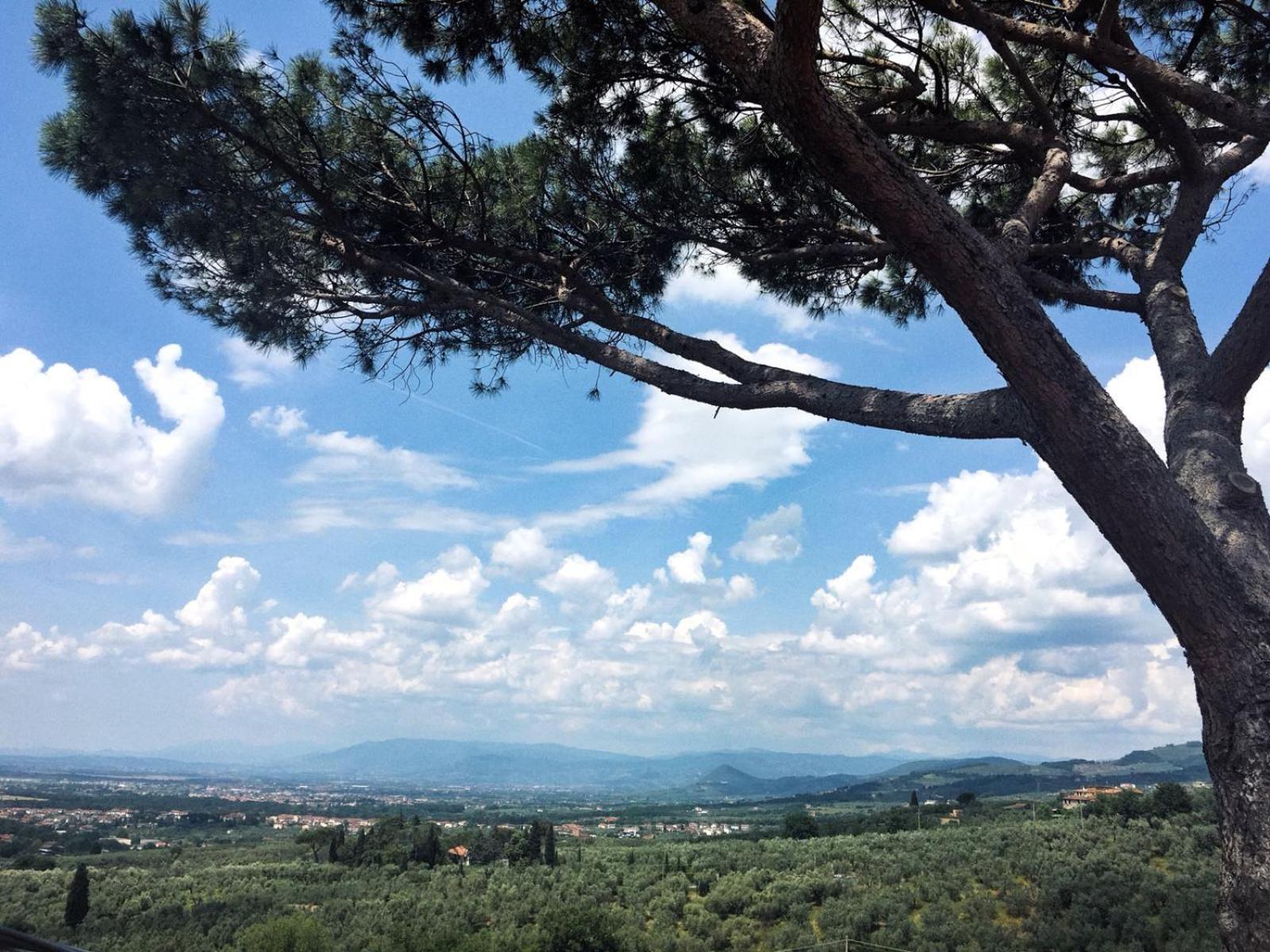 למפורקיו Agriturismo Podere Rondinaio מראה חיצוני תמונה