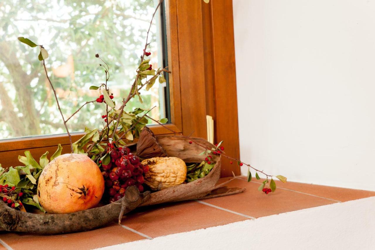 למפורקיו Agriturismo Podere Rondinaio מראה חיצוני תמונה