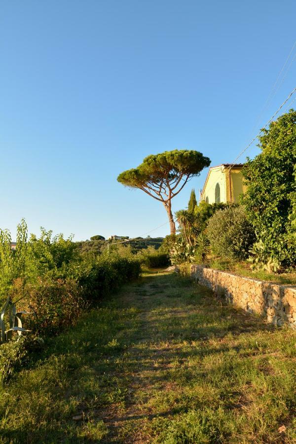 למפורקיו Agriturismo Podere Rondinaio מראה חיצוני תמונה