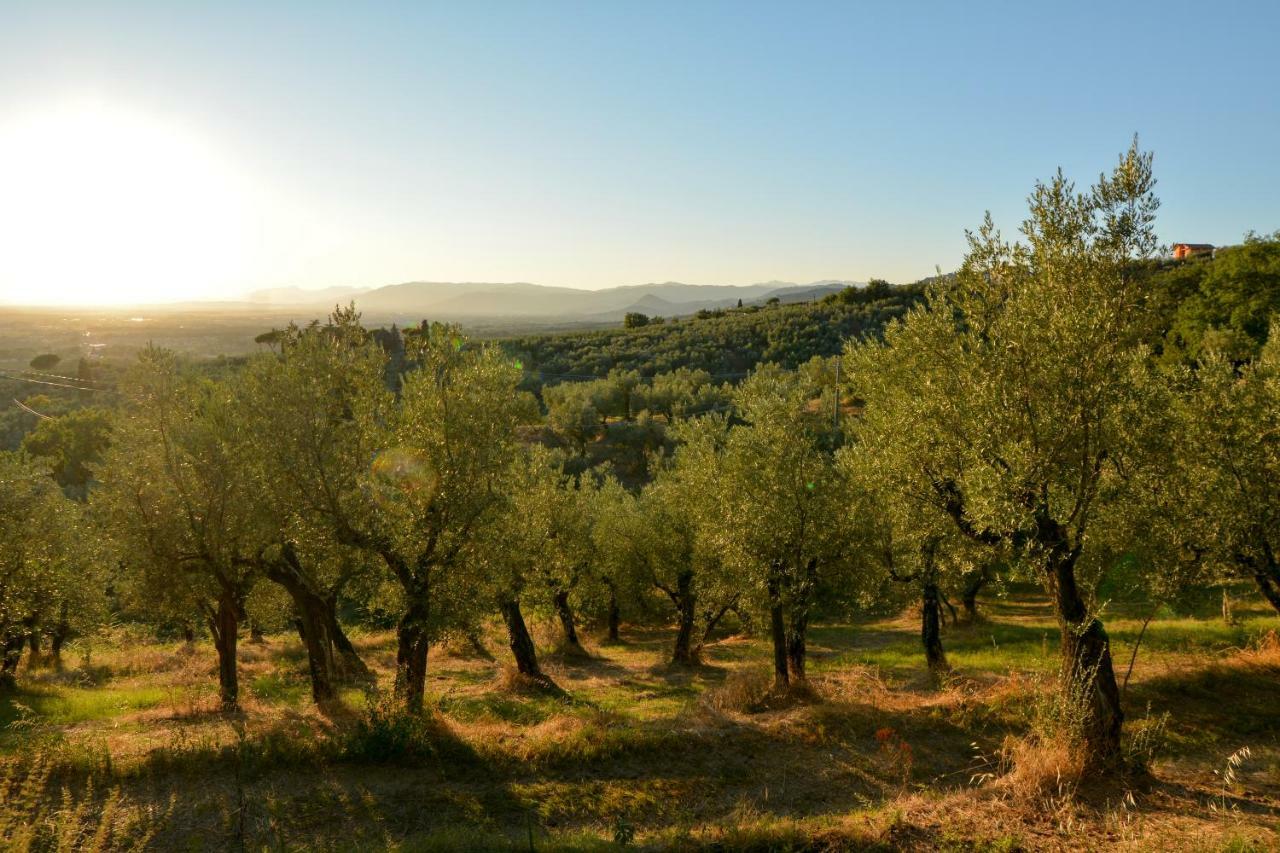 למפורקיו Agriturismo Podere Rondinaio מראה חיצוני תמונה