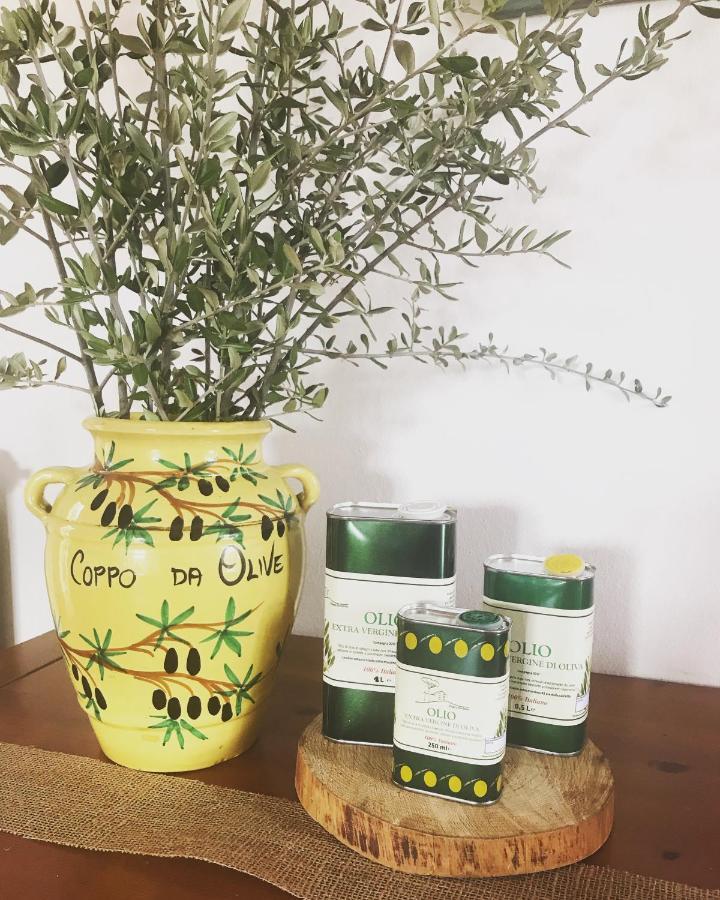 למפורקיו Agriturismo Podere Rondinaio מראה חיצוני תמונה